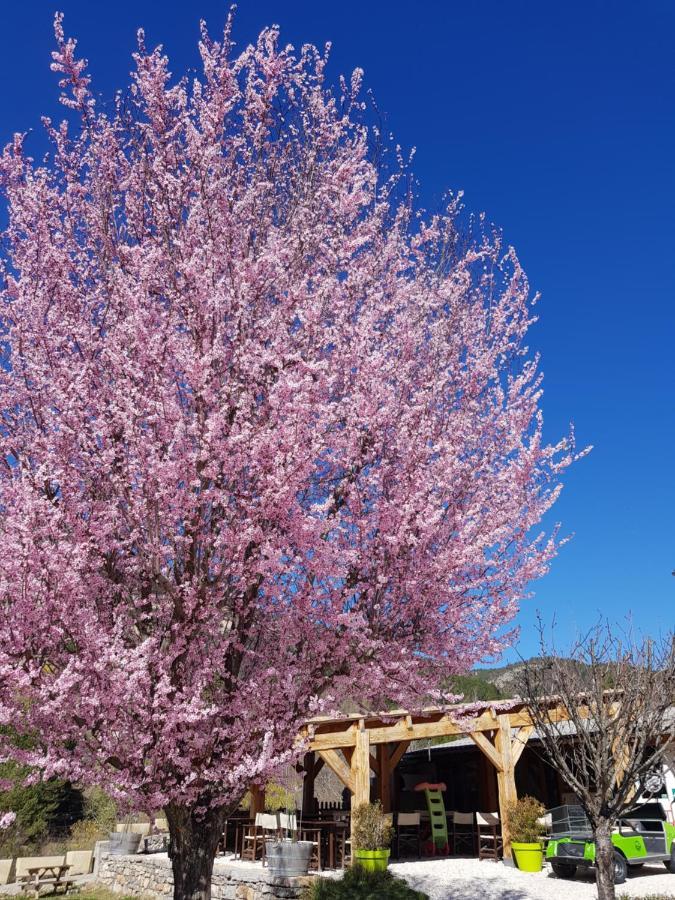 Camping Calme Et Nature Castellane Luaran gambar