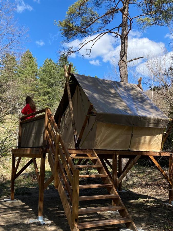 Camping Calme Et Nature Castellane Luaran gambar
